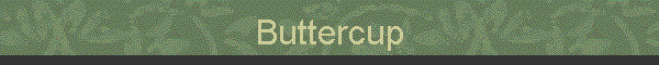Buttercup